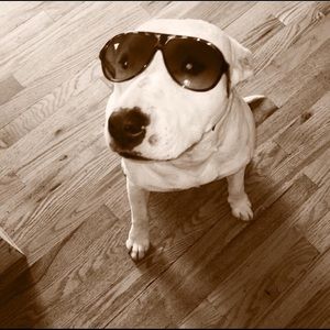 Meet your Posher, Odalys